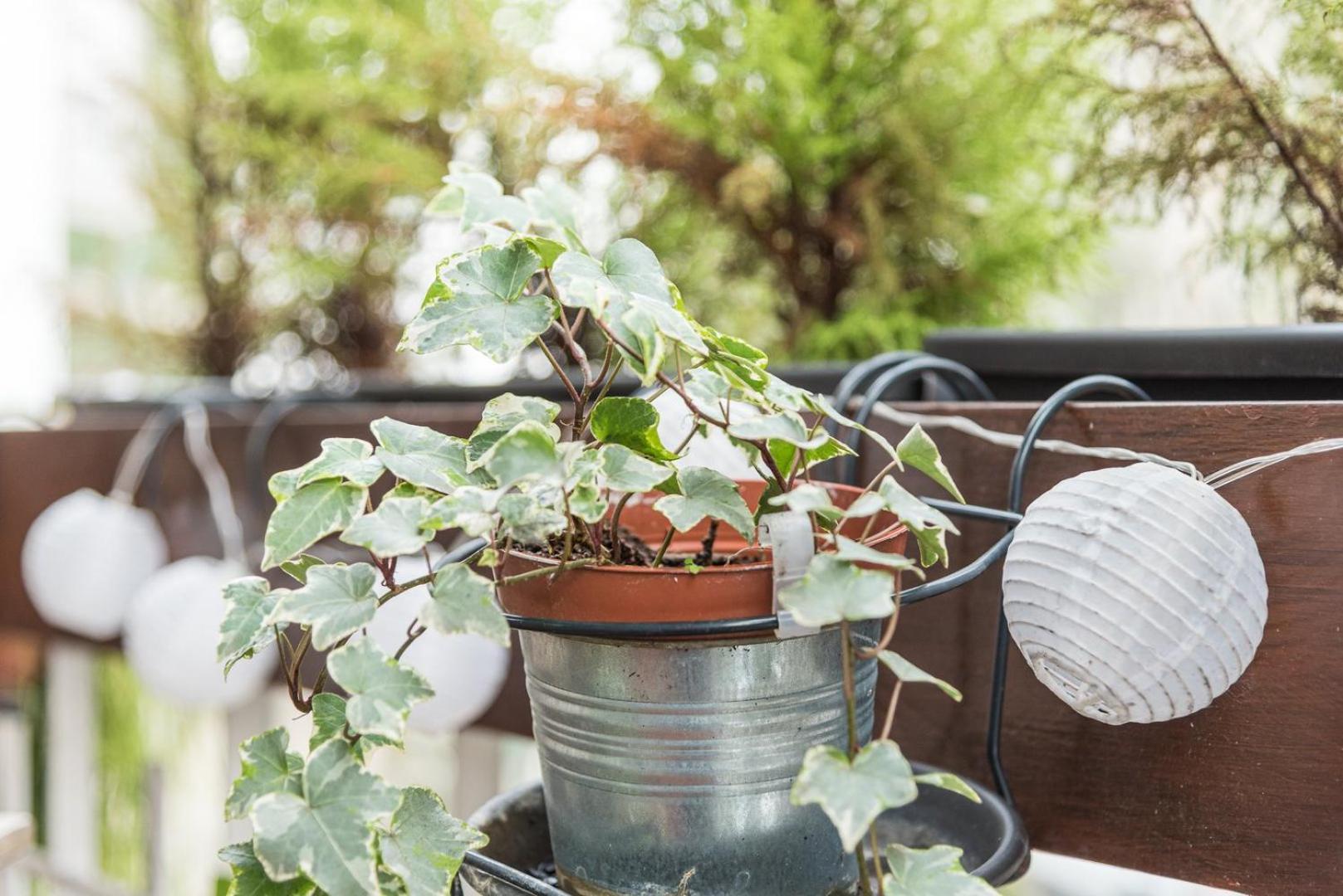 포르투 Guestready - The Hackberry 아파트 외부 사진
